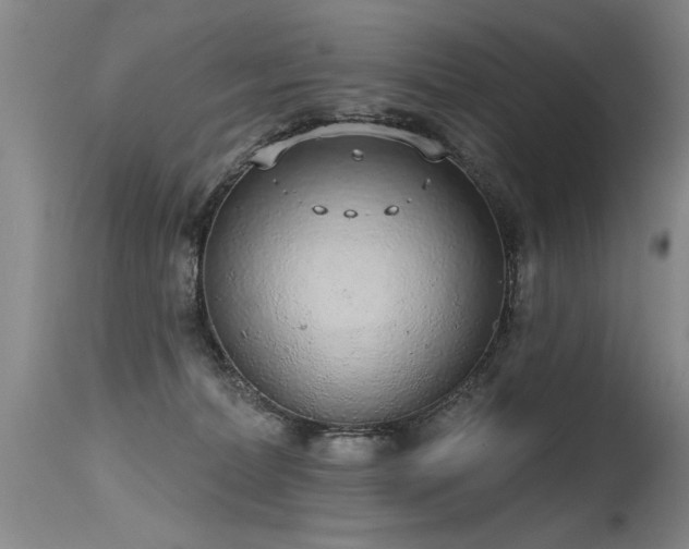 X0000115630228200911101445