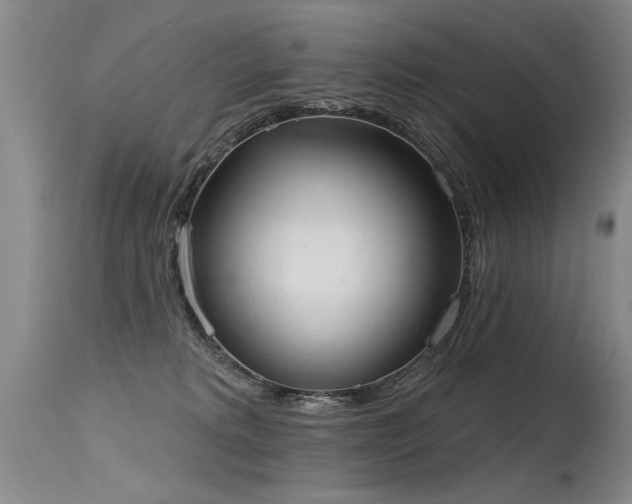 X0000115630229200911101445