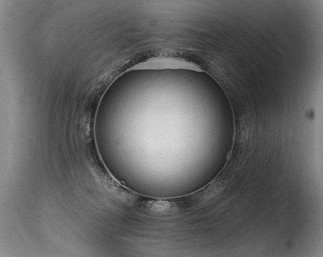 X0000115630230200911101445