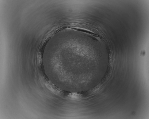 X0000115630231200911101445