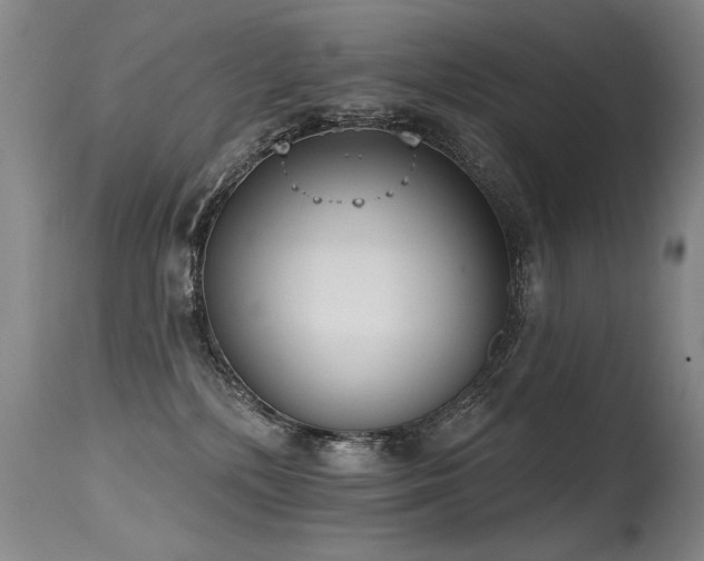 X0000115630232200911101445