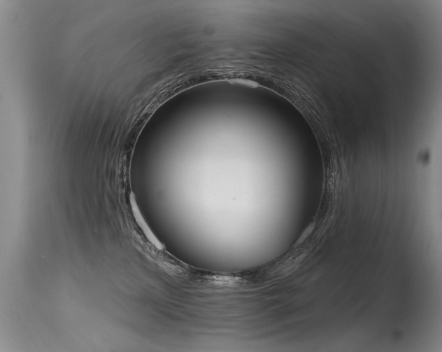 X0000115630233200911101445