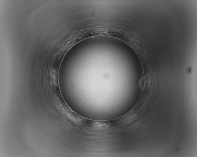 X0000115630234200911101445