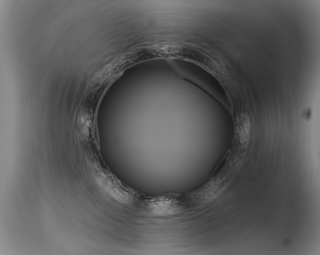 X0000115630235200911101445
