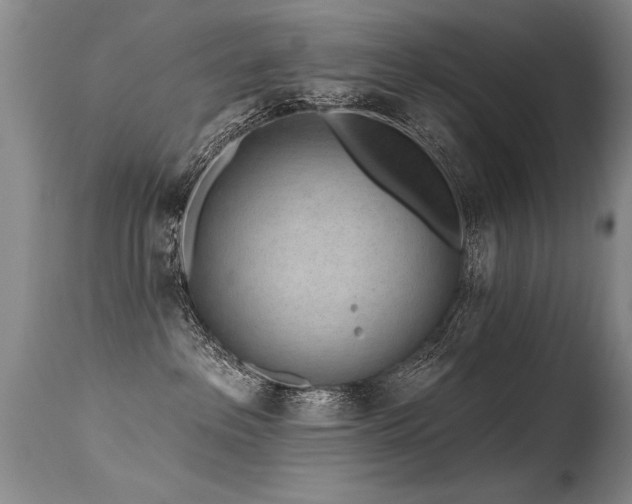 X0000115630237200911101444