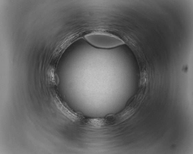 X0000115630238200911101444