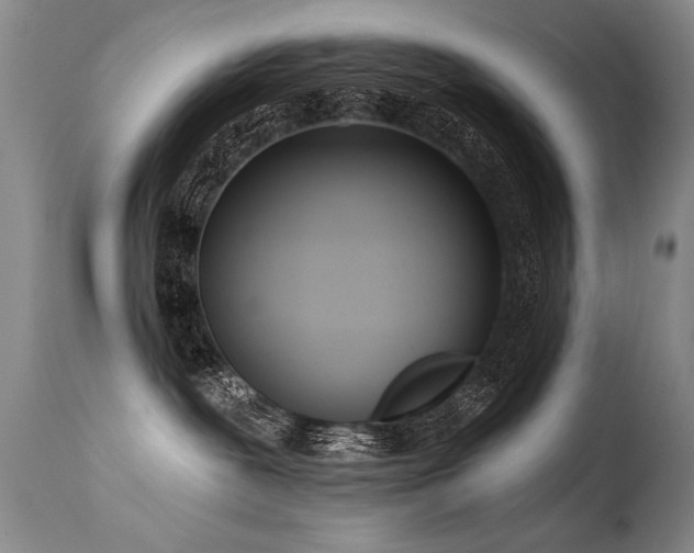 X0000115630239200911101444