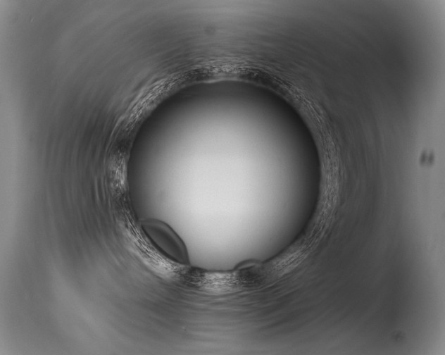 X0000115630240200911101444