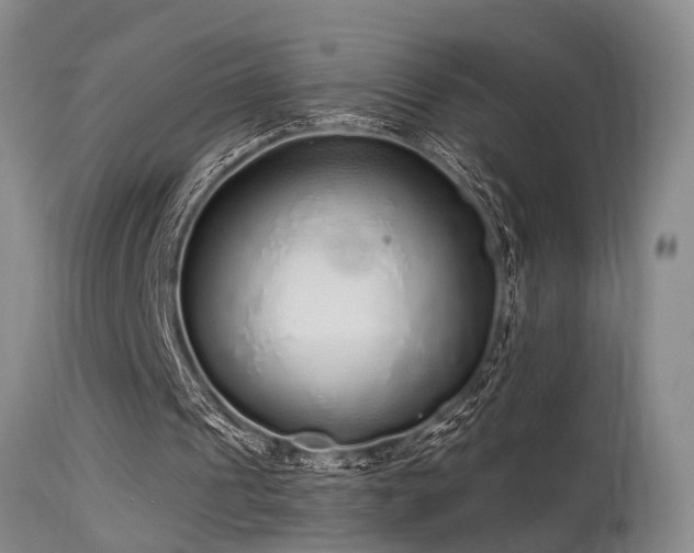 X0000115630241200911101444