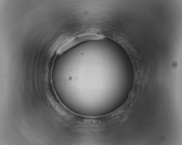 X0000115630242200911101444