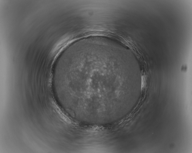 X0000115630243200911101444