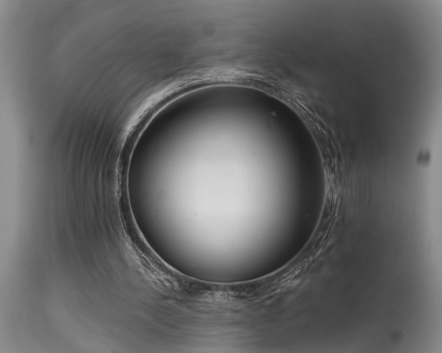 X0000115630244200911101444