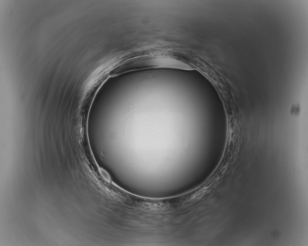 X0000115630245200911101444