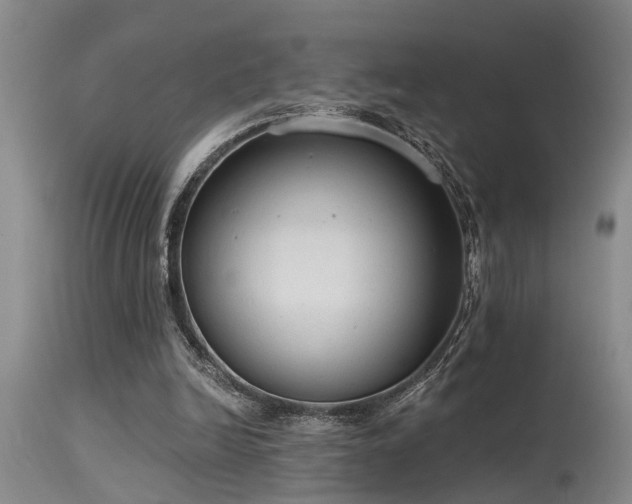 X0000115630246200911101444