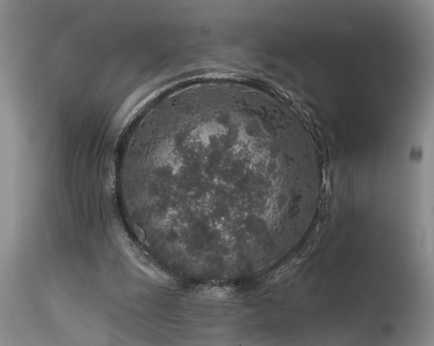 X0000115630247200911101444