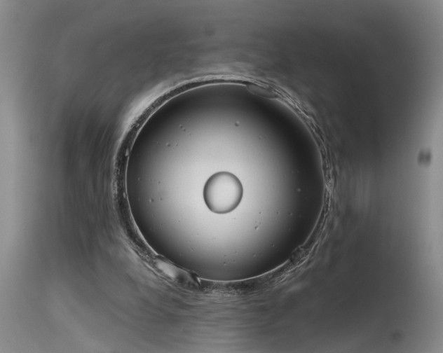 X0000115630248200911101444