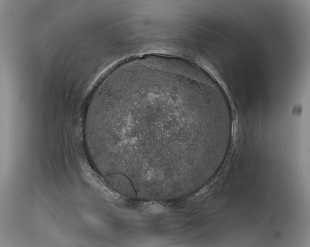 X0000115630249200911101444