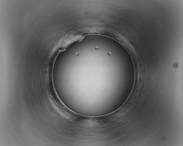 X0000115630250200911101444