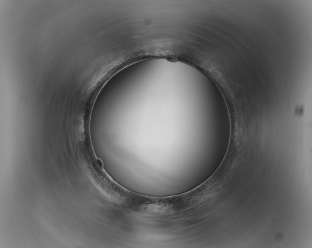 X0000115630251200911101444