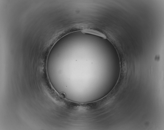 X0000115630255200911101444