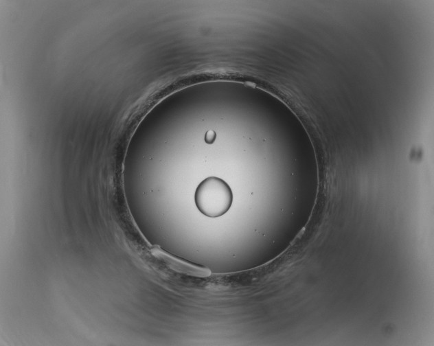 X0000115630256200911101444