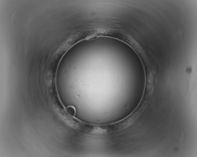 X0000115630257200911101444