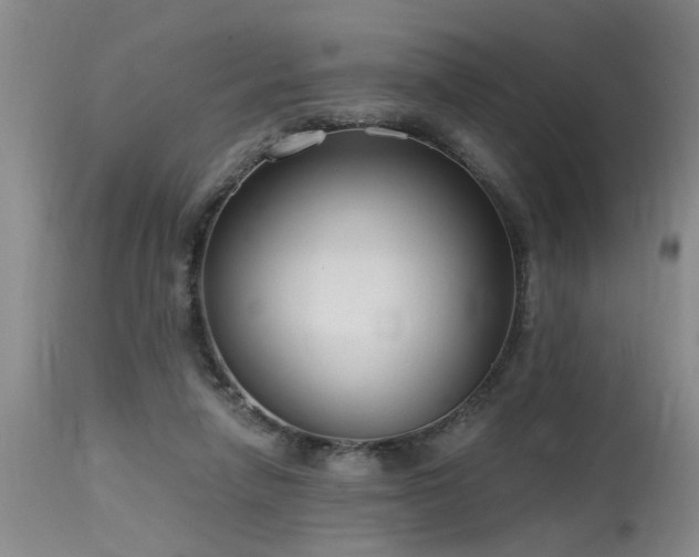X0000115630258200911101444