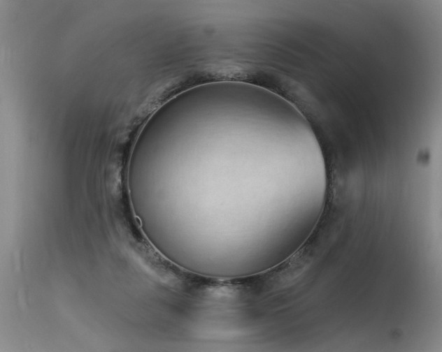 X0000115630259200911101444
