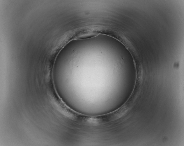 X0000115630261200911101444