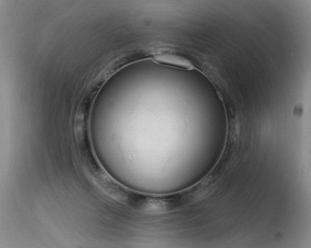X0000115630263200911101444