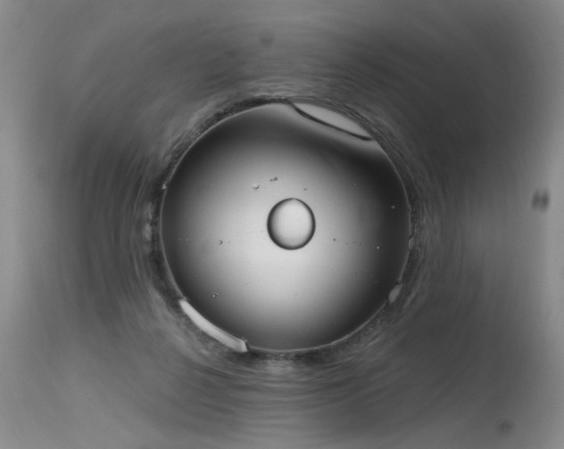X0000115630264200911101444