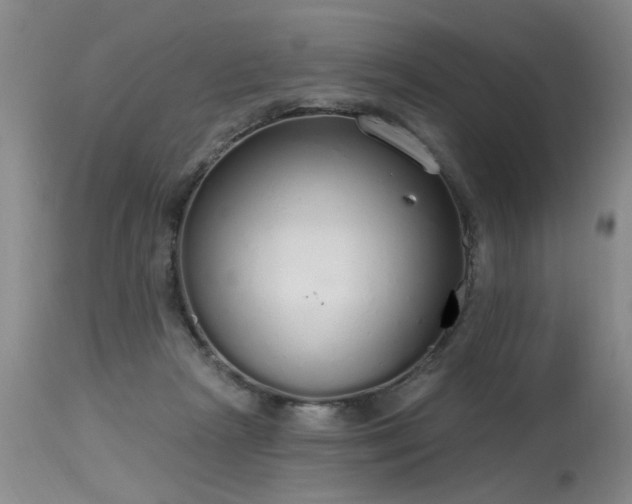 X0000115630265200911101444