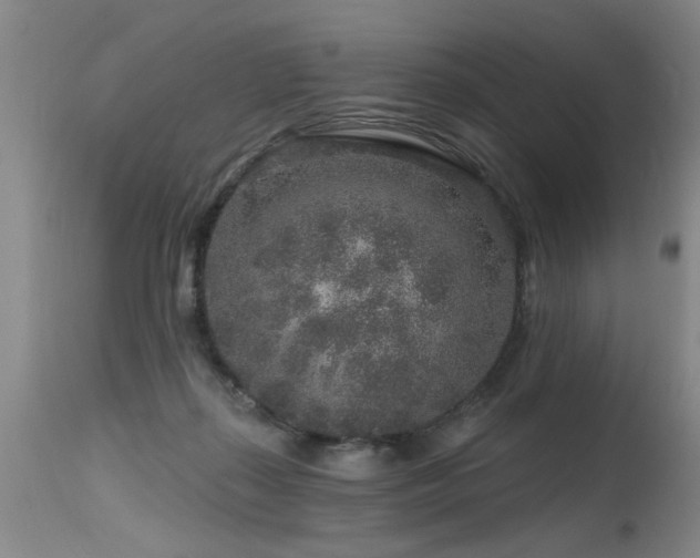 X0000115630267200911101444