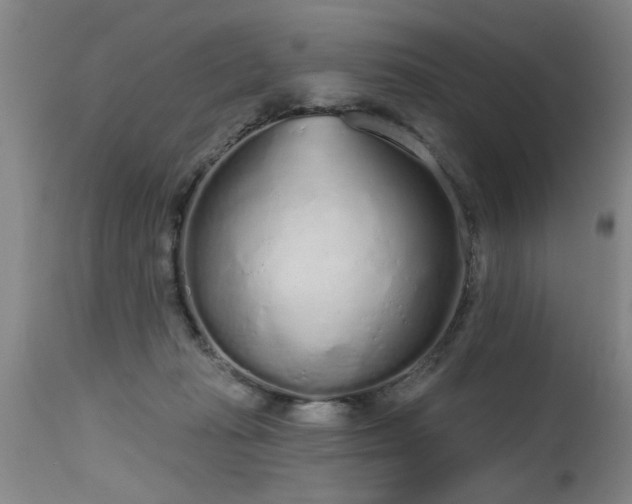 X0000115630269200911101444