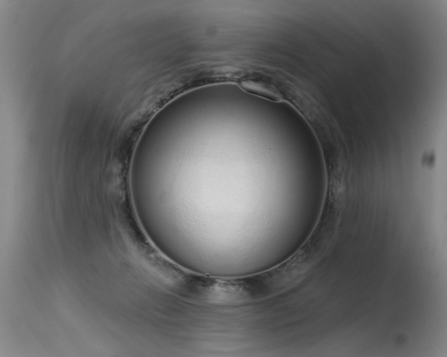 X0000115630270200911101444