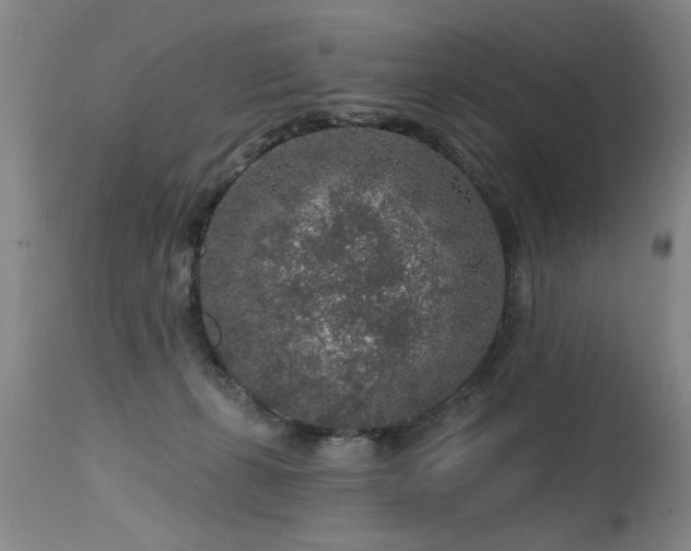 X0000115630271200911101444