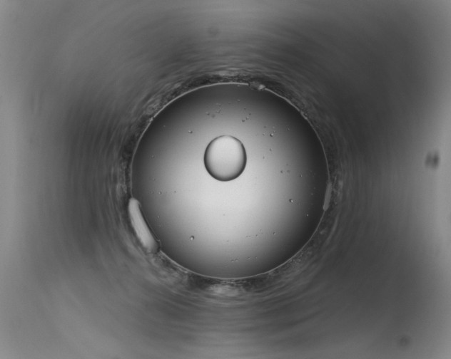 X0000115630272200911101444