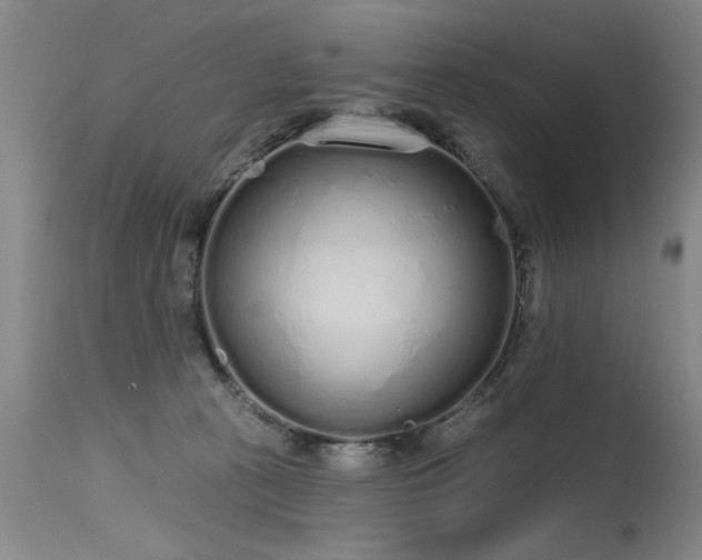 X0000115630273200911101444