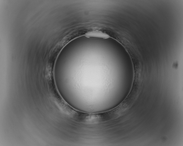 X0000115630274200911101444