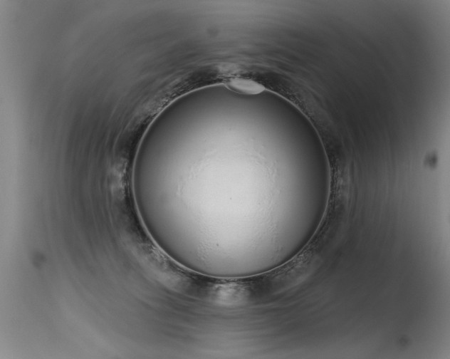 X0000115630275200911101444