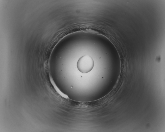 X0000115630276200911101444