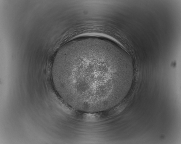 X0000115630277200911101444
