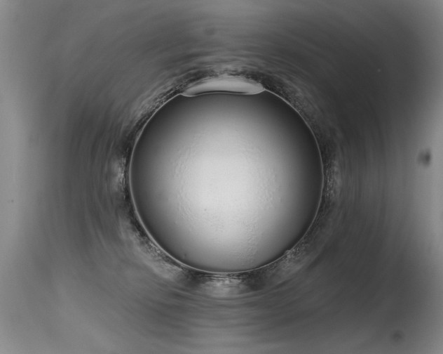 X0000115630278200911101444