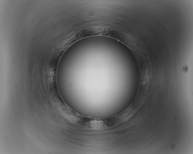 X0000115630279200911101444