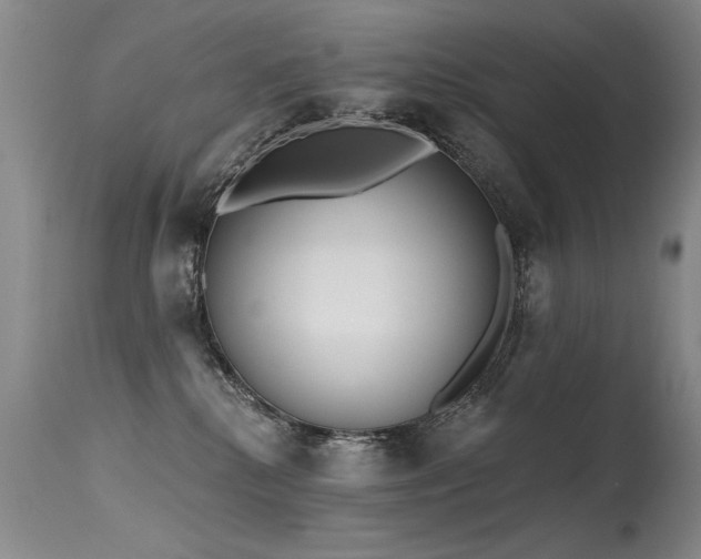 X0000115630280200911101444