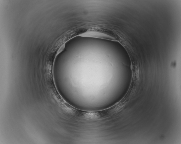 X0000115630281200911101444
