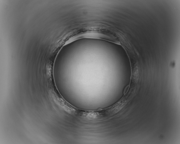X0000115630282200911101444