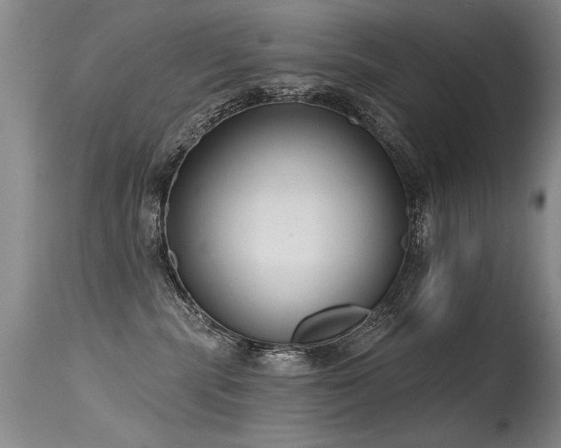 X0000115630283200911101444