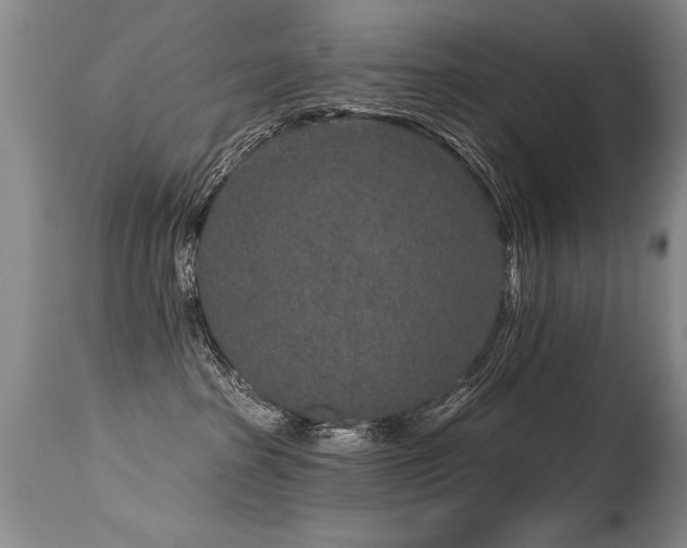 X0000115630285200911101444