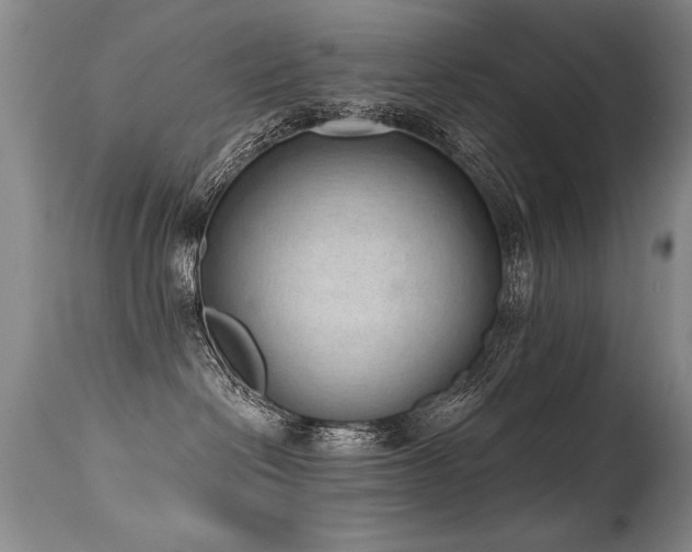 X0000115630286200911101444